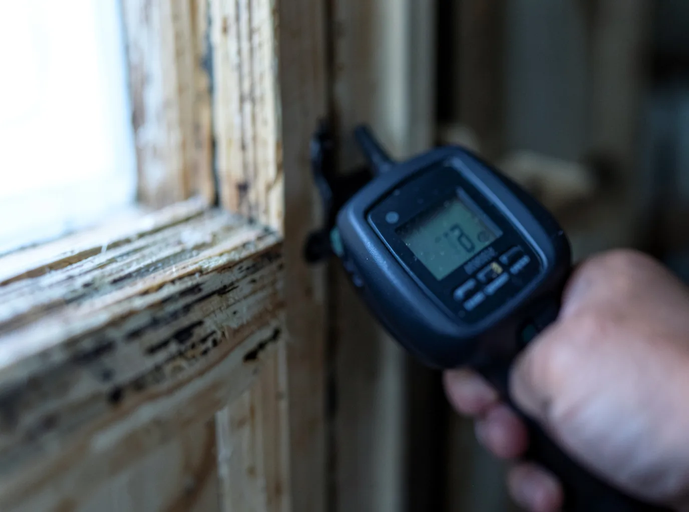 Commercial Water Damage Restoration in Bellaire, MI